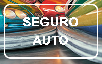 Automóvel
