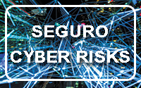 Cyber Risks