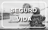 Vida