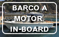 Barco a Motor In-Board