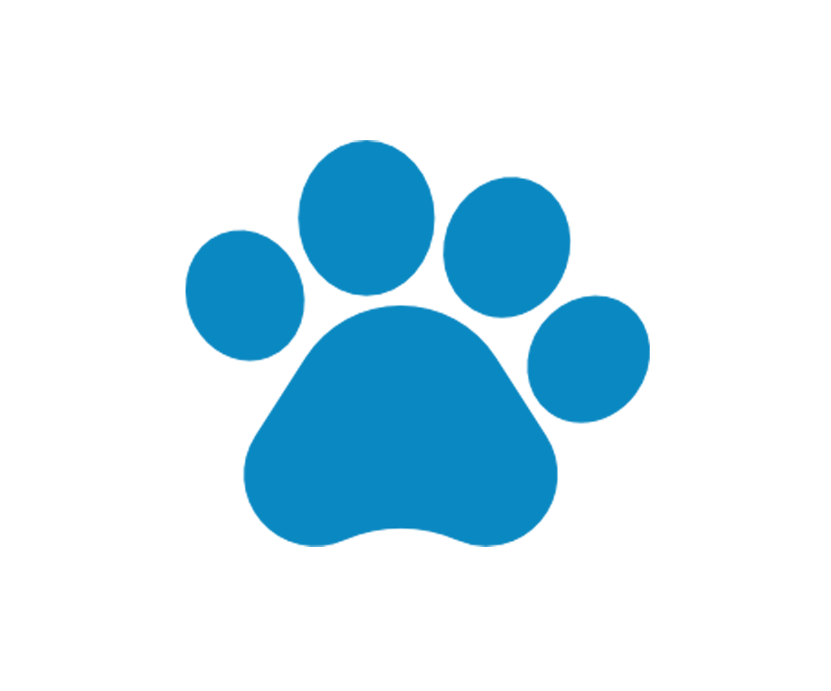 pet